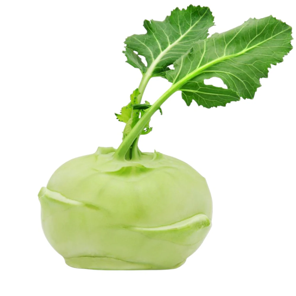 إكسترا فريش