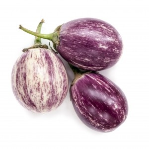 إكسترا فريش