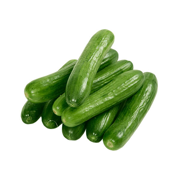 إكسترا فريش