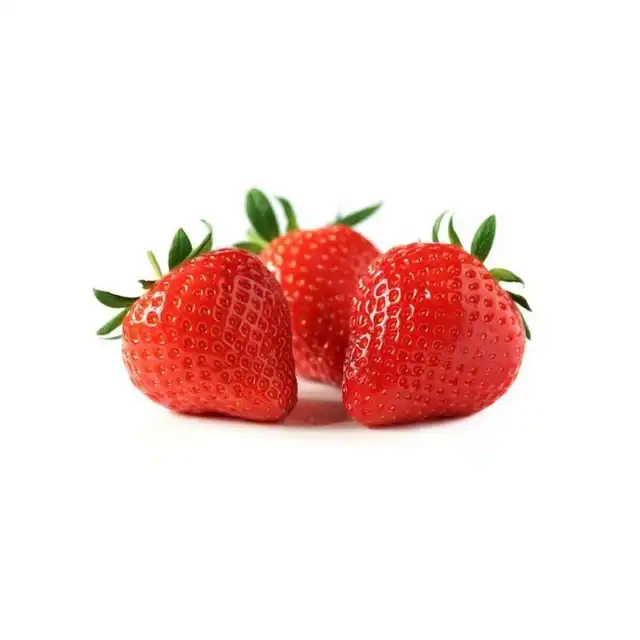 إكسترا فريش