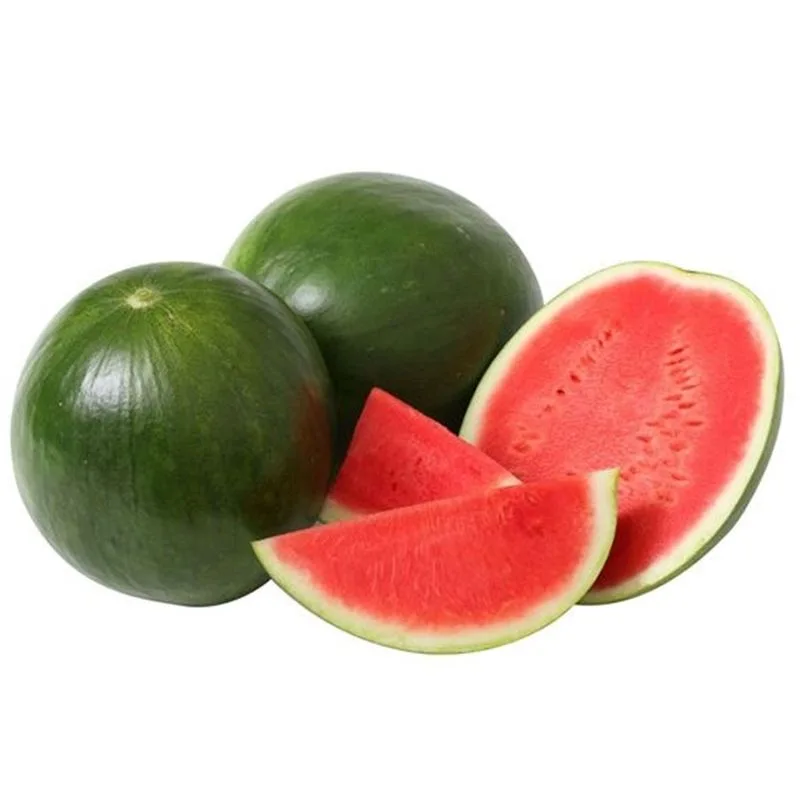 إكسترا فريش