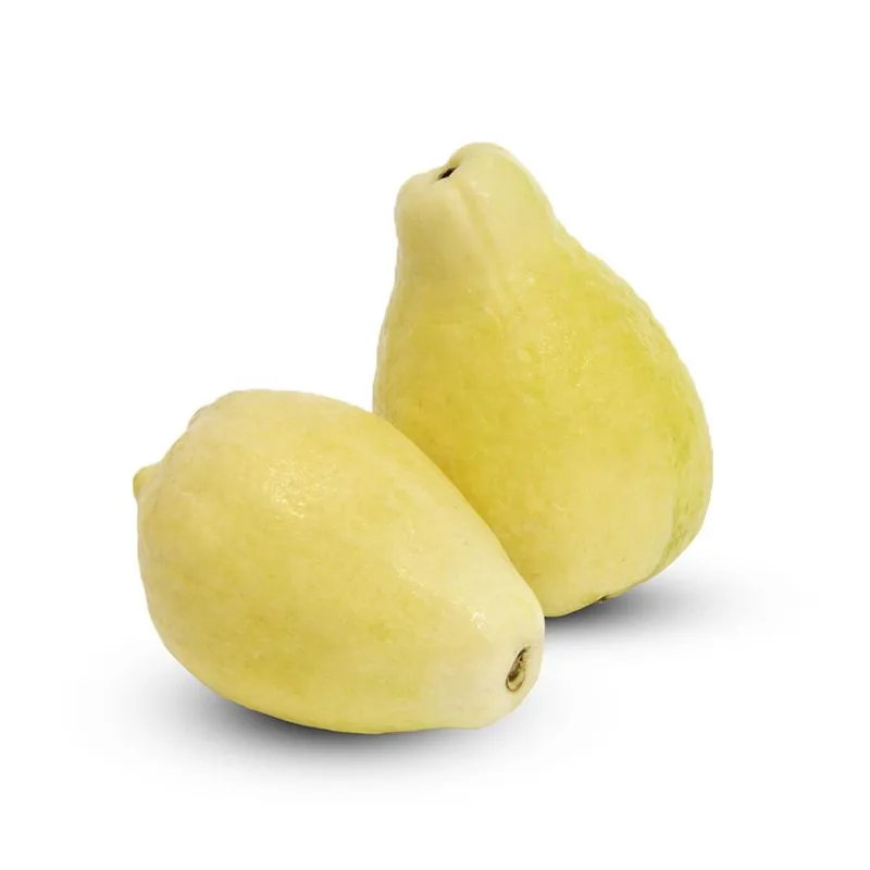 إكسترا فريش