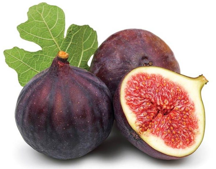 إكسترا فريش