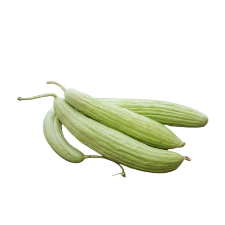 إكسترا فريش