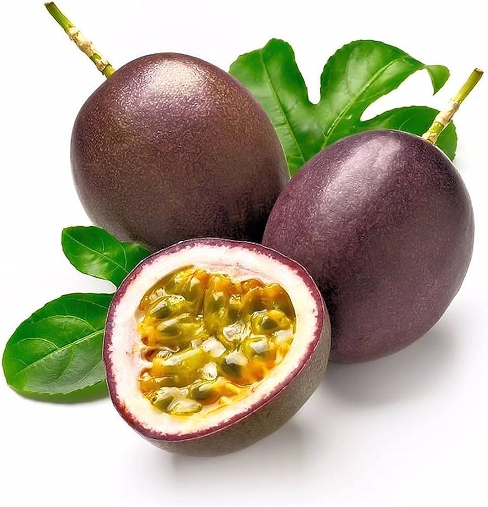 إكسترا فريش