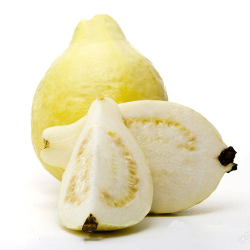 إكسترا فريش