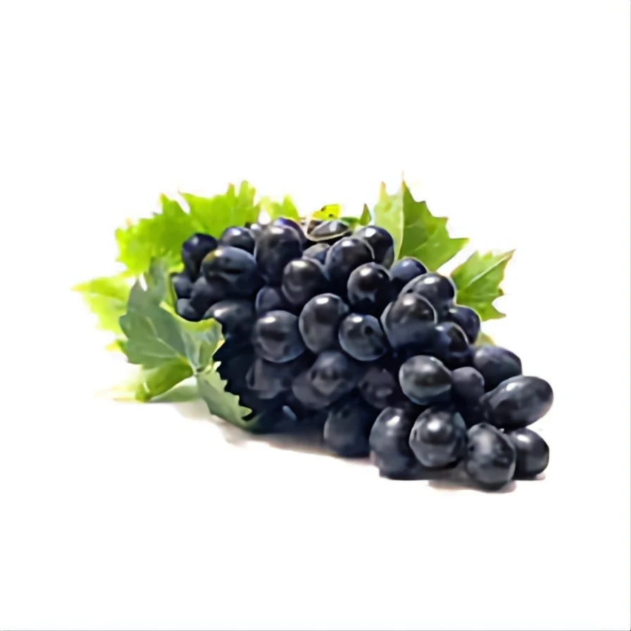 إكسترا فريش