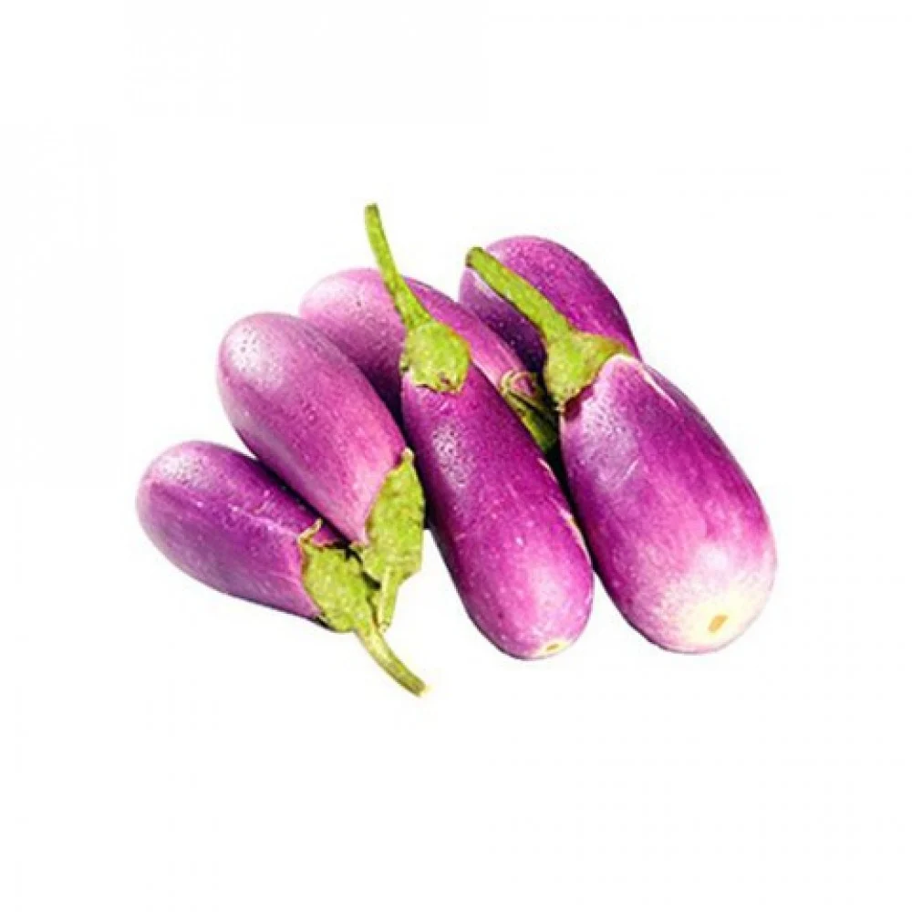 إكسترا فريش