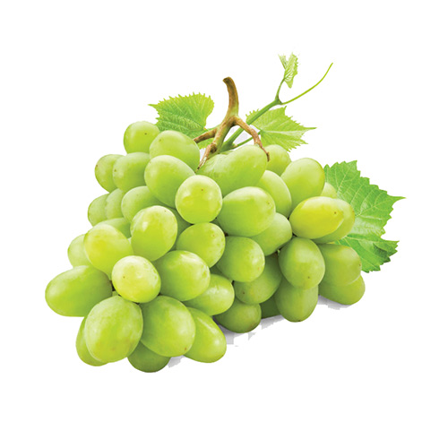 إكسترا فريش