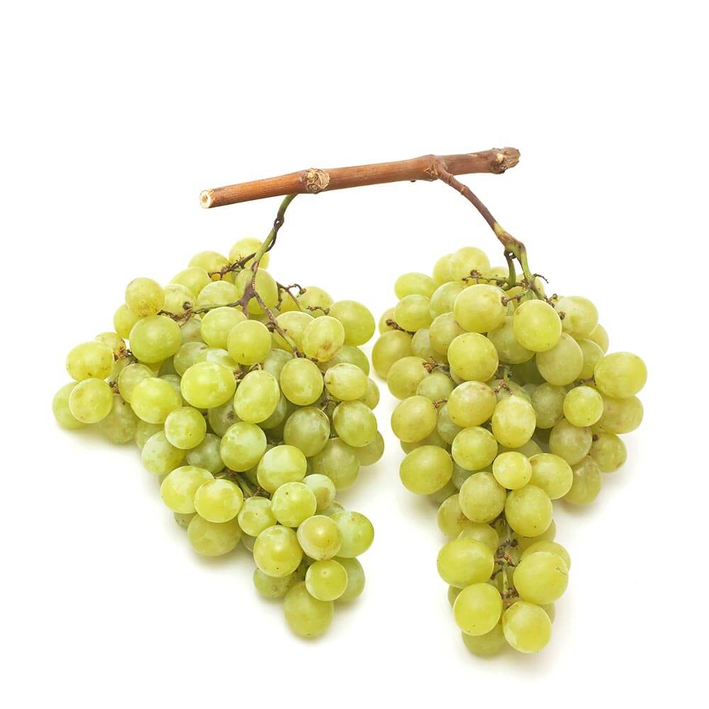 إكسترا فريش