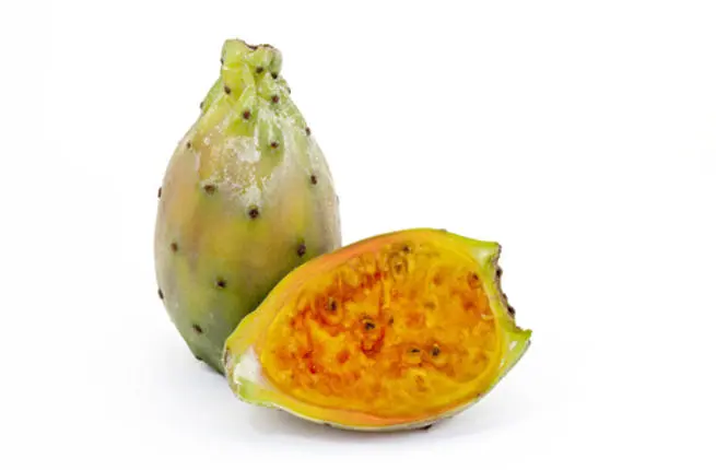 إكسترا فريش