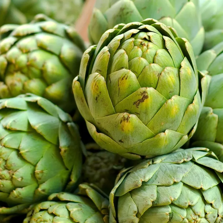 إكسترا فريش