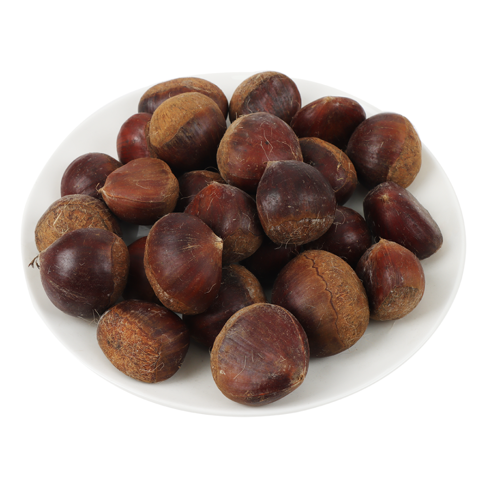 إكسترا فريش