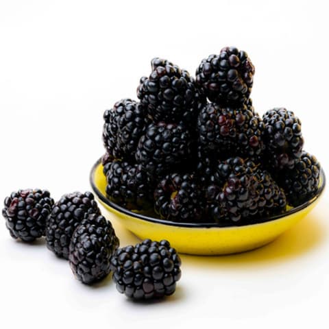 إكسترا فريش