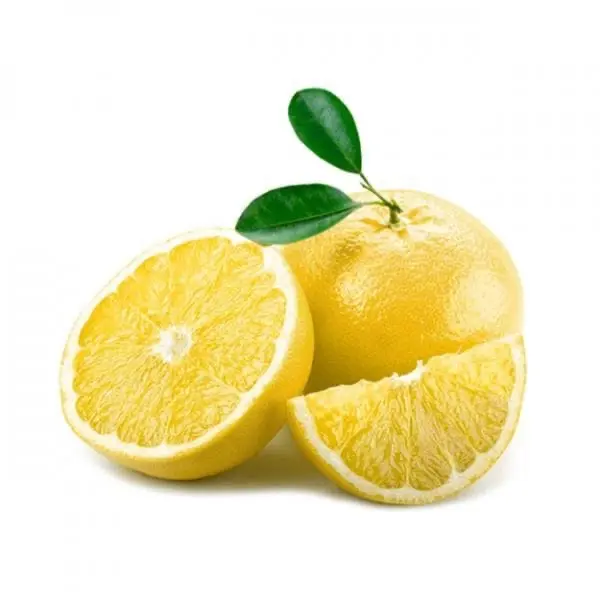 إكسترا فريش