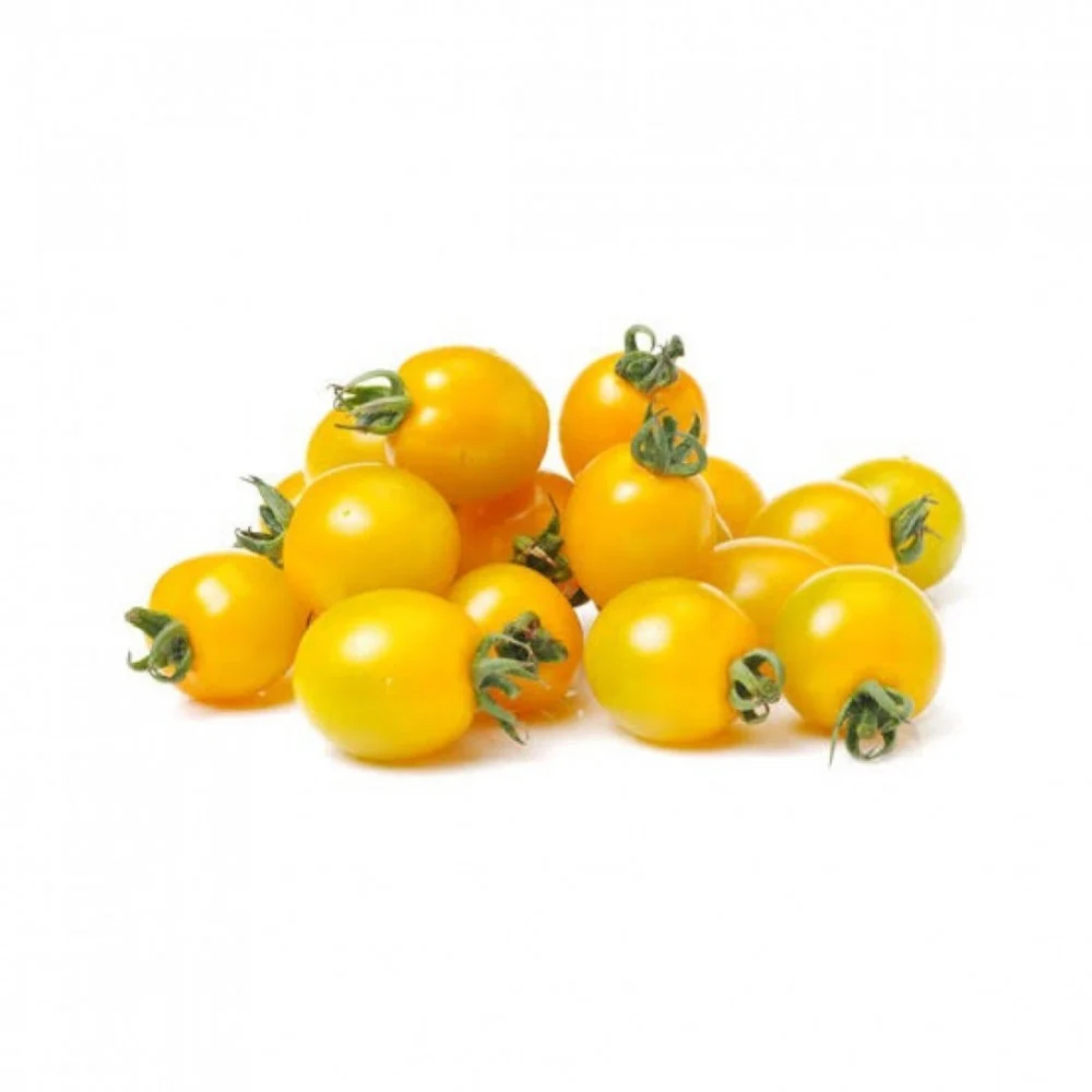 إكسترا فريش