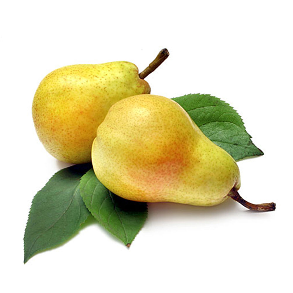 إكسترا فريش