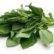 إكسترا فريش